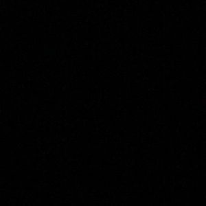 Meet your Posher, Trae